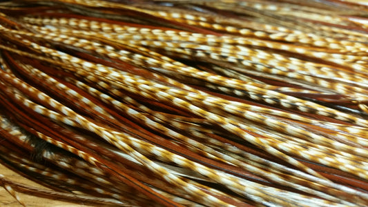 Fly tying hackle feathers avilable from Troutlroe Fly Shop in Australia