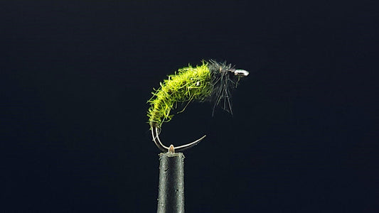 SUPER SIMPLE CADDIS GRUB NYMPH PATTERN TIED BY ROB GEE FROM TROUTLORE FLY TYING STORE AUSTRALIA