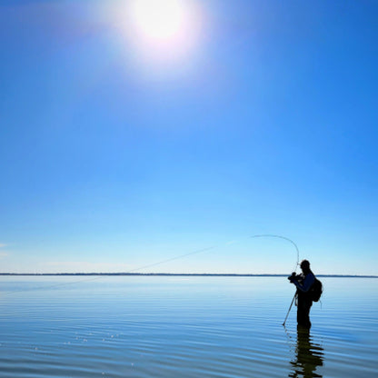 Guided Fly Fishing - Carp Day Trip