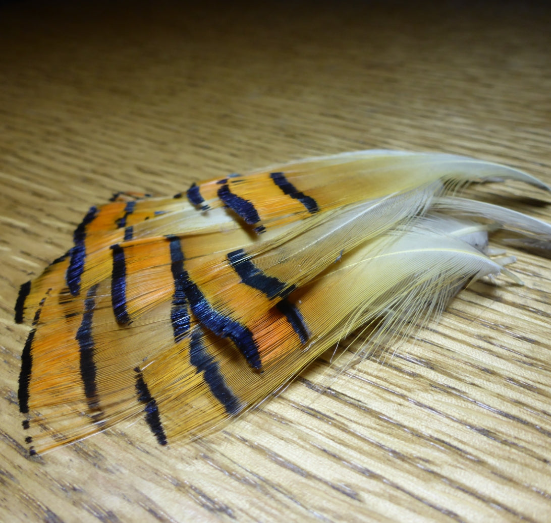 Golden Pheasant Neck Feathers