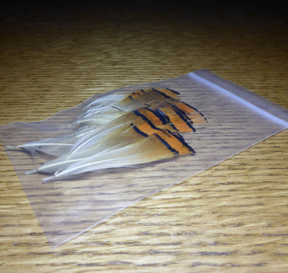 Golden Pheasant Neck Feathers