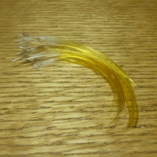 Golden Pheasant Crest Feathers