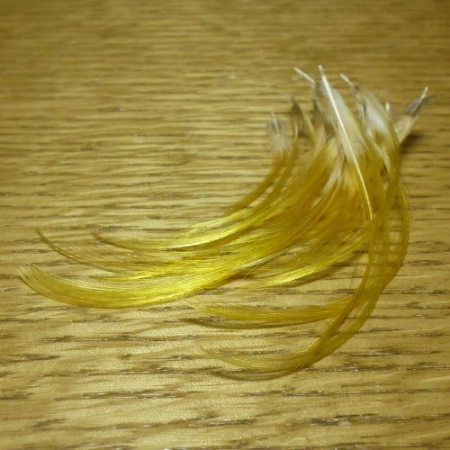 Golden Pheasant Crest Feathers AVAILABLE AT TROUTLORE FLY TYING STORE AUSTRALIA