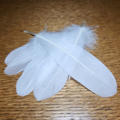 Goose Quills
White AVAILABLE AT TROUTLORE FLY TYING STORE AUSTRALIA