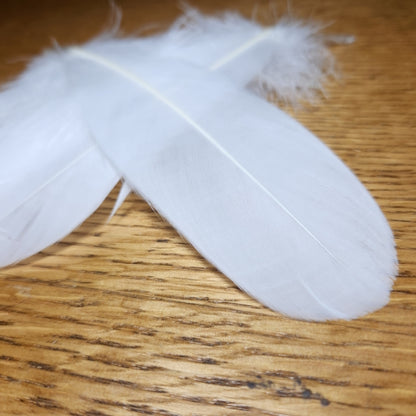 Goose Quills White