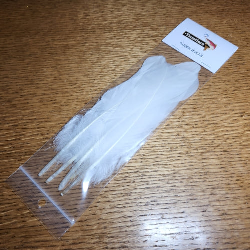 Goose Quills White