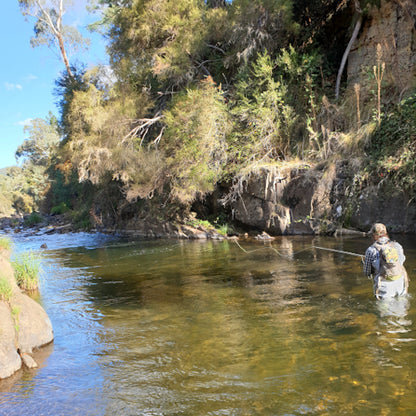 Guided Fly Fishing - Trout Day Trip