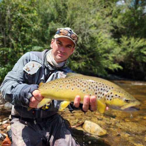 Guided Fly Fishing - Trout Day Trip