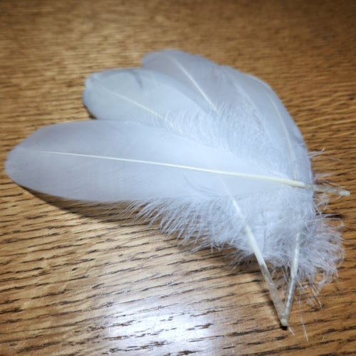 Hareline Select Goose Shoulder Feathers White AVAILABLE AT TROUTLORE FLY TYING STORE AUSTRALIA