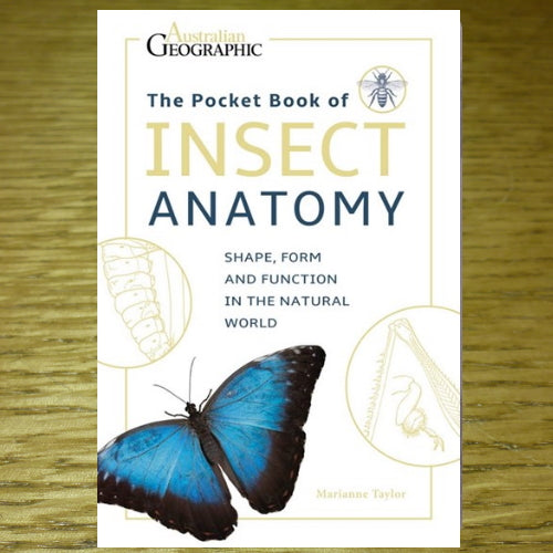 THE POCKET BOOK OF INSECT ANATOMY BY AUSTRALIAN GEOGRAPHIC AVAILABLE AT TROUTLORE FLY TYING STORE AUSTRALIA