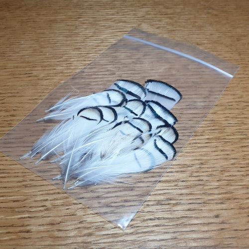 Lady Amherst Tippet Feathers