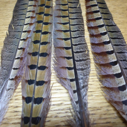 Pheasant Tails Natural