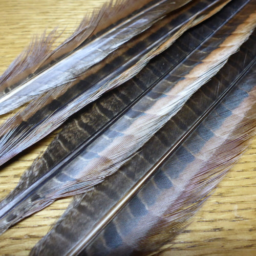 Pheasant Tails Natural