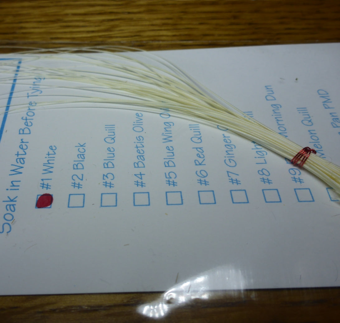 Quill Body Stripped Quills - White