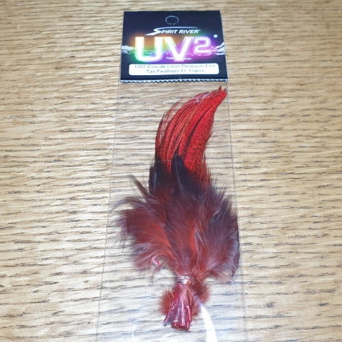 UV2 Coq De Leon Perdigon Fire Tail Feathers – Fl. Flame AVAILABLE AT TROUTLORE FLY TYING STORE AUSTRALIA