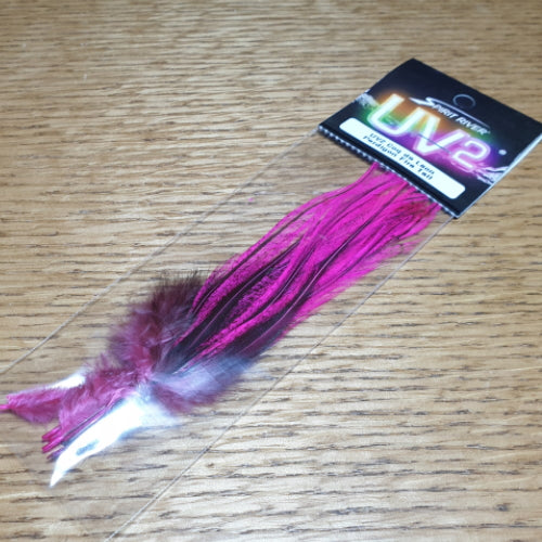 UV2 Coq De Leon Perdigon Fire Tail Feathers – Fl. Hot Pink