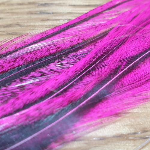 UV2 Coq De Leon Perdigon Fire Tail Feathers – Fl. Hot Pink