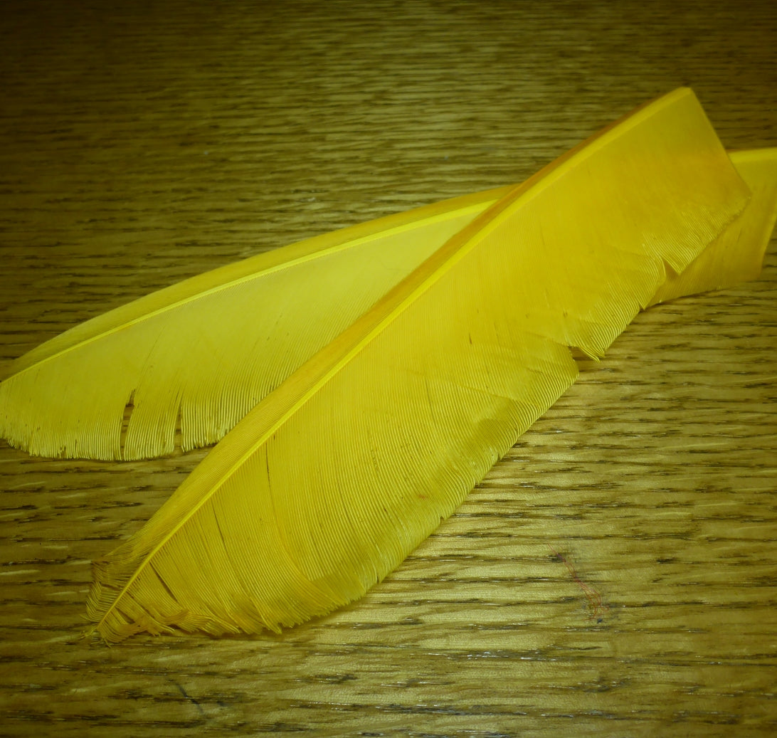 Nature’s Spirit Turkey Biot Quills Sulphur Orange AVAILABLE AT TROUTLORE FLY TYING STORE AUSTRALIA