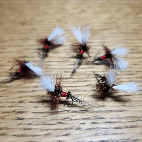 Royal Wulff Dry Fly