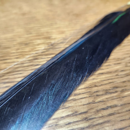 Veniard Pheasant Tail Feathers Black AVAILABLE AT TROUTLORE FLY TYING STORE AUSTRALIA