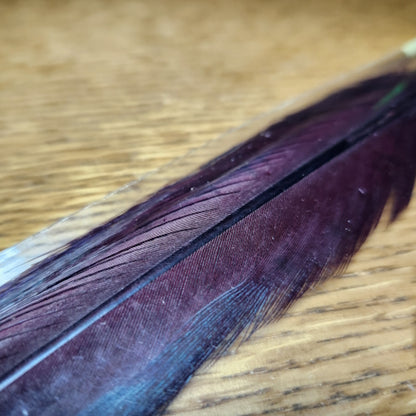 Veniard Pheasant Tail Feathers Claret