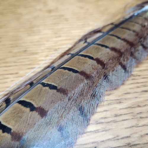 Veniard Pheasant Tail Feathers Natural