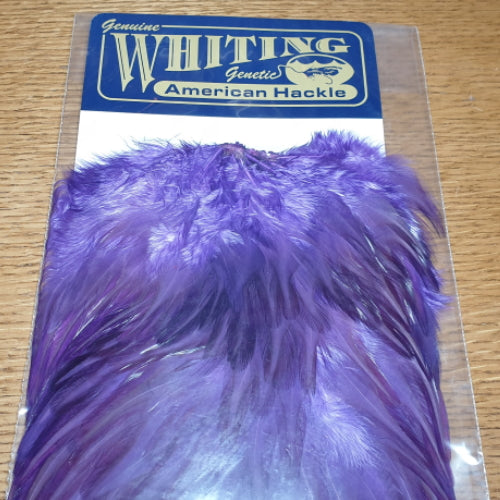 Whiting American Rooster Saddle Purple AVAILABLE AT TROUTLORE FLY TYING STORE AUSTRALIA