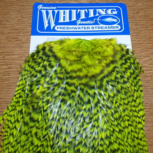 Whiting American Freshwater Streamer Saddle Grizzly Yellow Chartreuse AVAILABLE AT TROUTLORE FLY TYING STORE AUSTRALIA