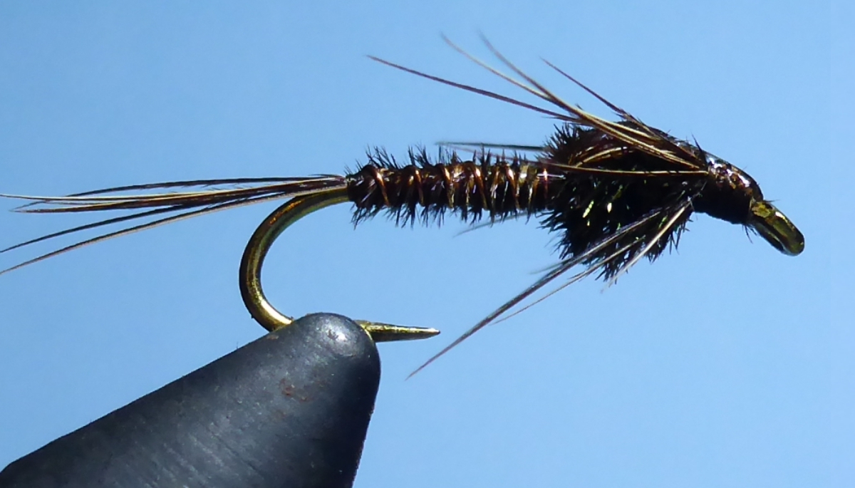 Pheasant Tail Nymph  Pacific Fly Fishers