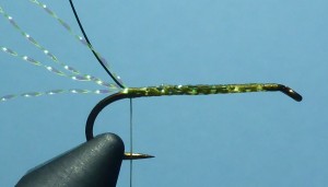 Olive Damsel Fly Pattern