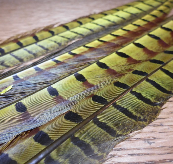 PHEASANT TAIL FEATHERS PT FLYTYING MATERIALS AUSTRALIA TROUTLORE