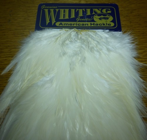 WHITING AMERICAN ROOSTER SADDLE FLY TYING FEATHERS AUSTRALIA TROUTLORE