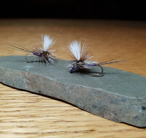 Purple Haze Parachutes by Charlie from Tasmania