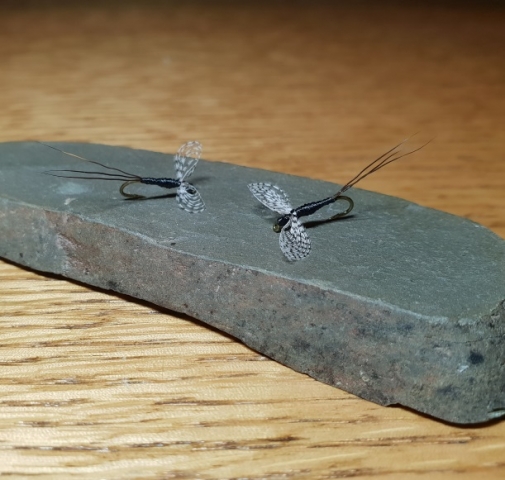 Wally Wing Spent Spinners by Charlie from Tasmania