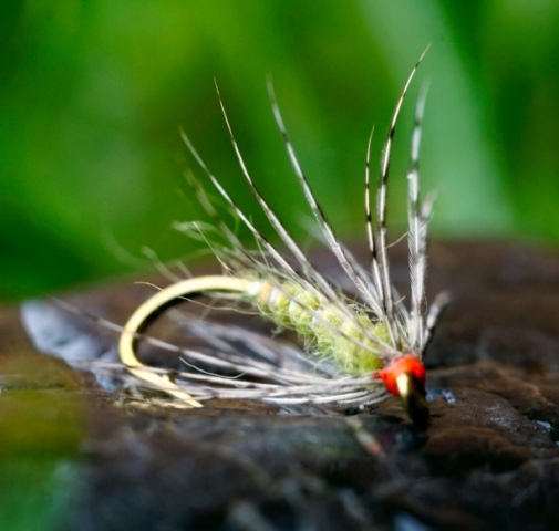 Partridge Soft Hackle by Evan @createafly