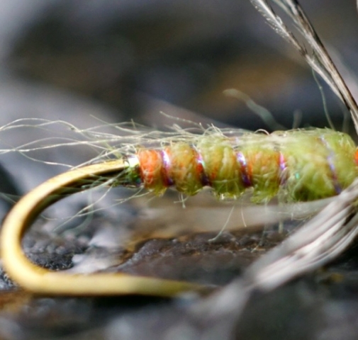 Partridge Soft Hackle by Evan @createafly