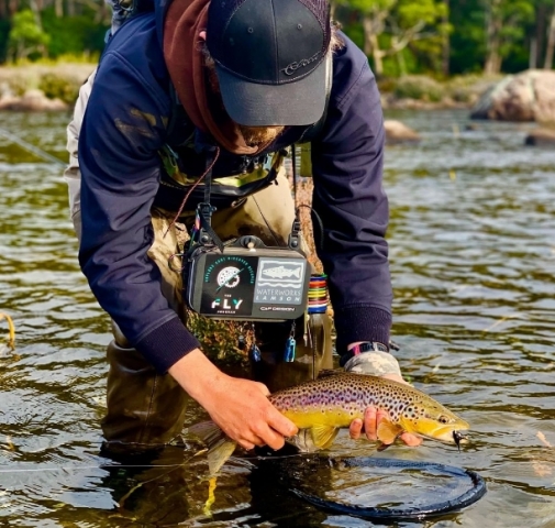 Brown Trout caught by Lachlan @close_water_combat