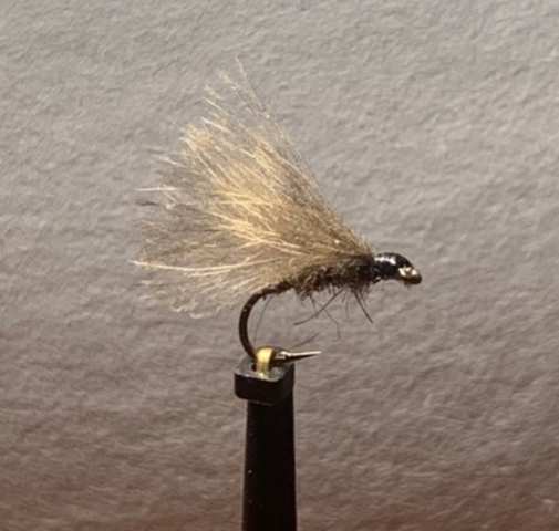 CDC mayfly by Richard @reelrichardhole