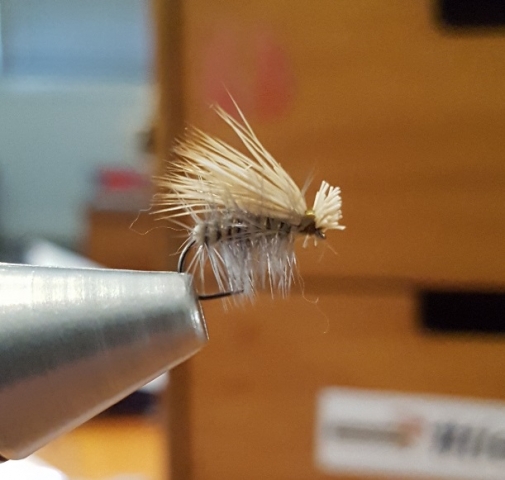 Elk hair caddis by Ross @_ross_co