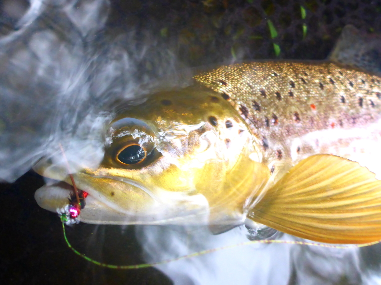 2019 VICTORIAN TROUT SEASON OPENING WEEKEND FLYFISHING AUSTRALIA TROUTLORE FLY TYING STORE