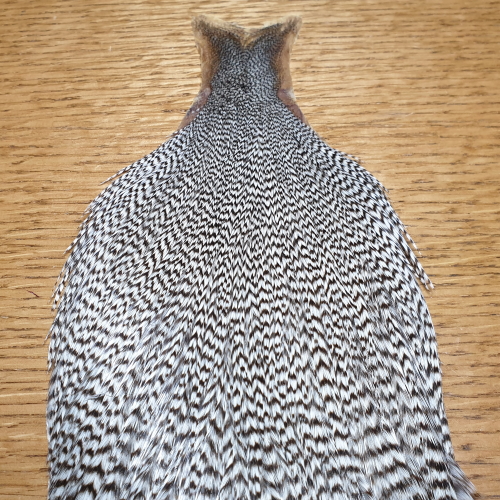 VENIARD PREMIUM COCK NECK CAPES AVAILABLE AT TROUTLORE FLY TYING SHOP AUSTRALIA