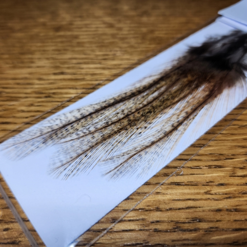 COQ DE LEON PACK TAILING FEATHERS AVAILABLE FROM TROUTLORE FLY TYING STORE